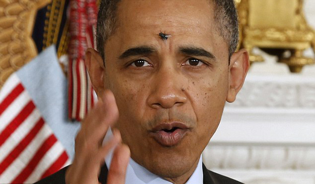 太歲頭上動土！奧巴馬白宮活動遭蒼蠅“立上頭”