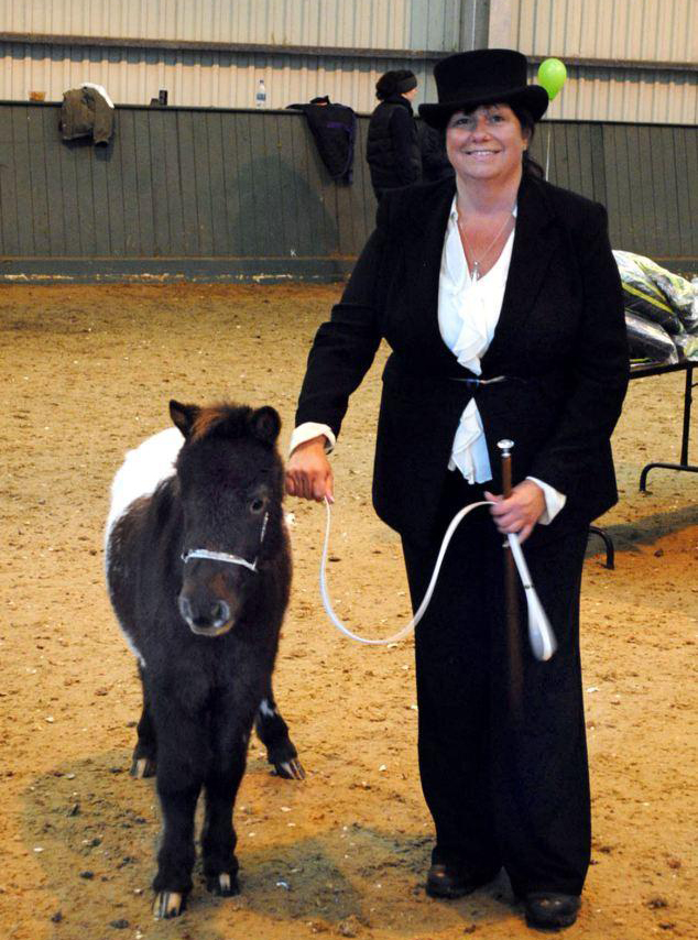 與主人同住室內(nèi)、愛看電視 英國小馬被寵壞