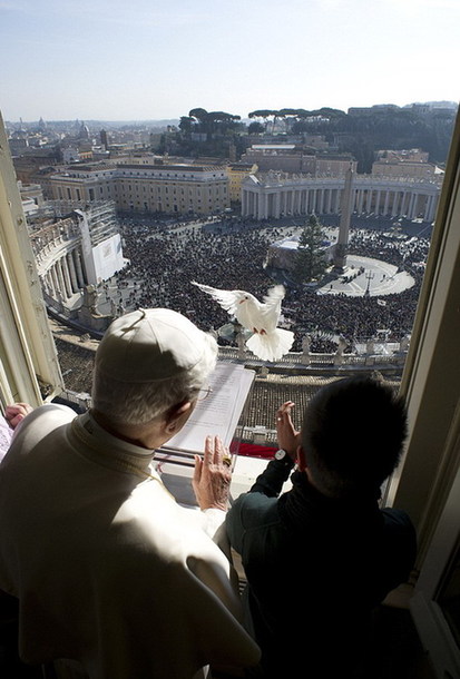 羅馬教皇放飛和平鴿遇“程咬金”差點淪為海鷗口中餐