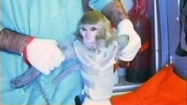 伊朗宣布成功將活猴送入太空 美國指其違反安理會決議