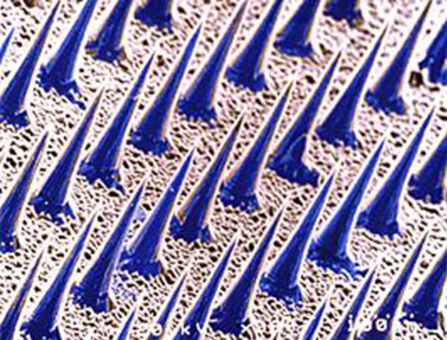 美專家研制“微針”設(shè)備 有望開啟無(wú)痛注射時(shí)代