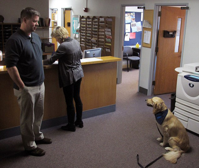 可愛安慰犬“受雇”入美高中課堂 助學生緩解壓力