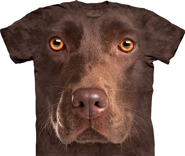 3D創意來襲：神奇涂鴉筆空中揮舞作畫 立體動物T恤栩栩如生