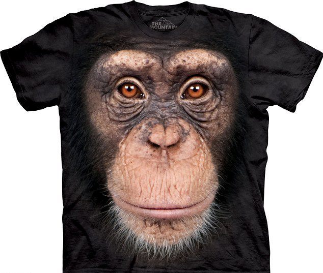 3D創(chuàng)意來襲:神奇涂鴉筆空中揮舞作畫 立體動物T恤栩栩如生