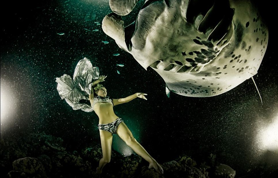 最后的舞蹈：動(dòng)物組織拍唯美照片呼吁保護(hù)“魔鬼魚(yú)”