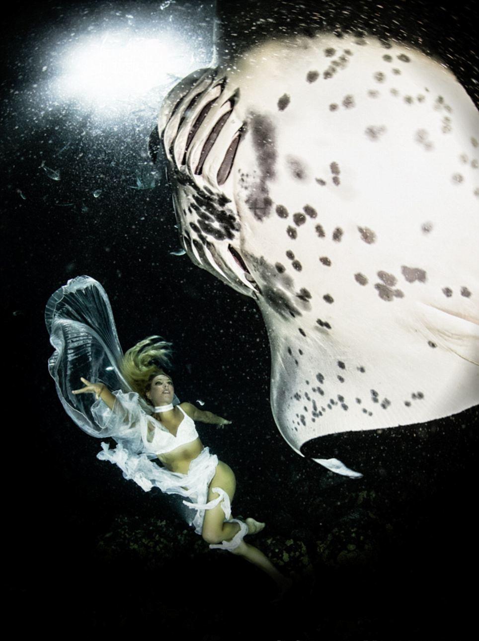 最后的舞蹈:動物組織拍唯美照片呼吁保護“魔鬼魚”