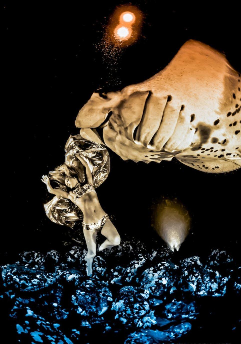 最后的舞蹈:動物組織拍唯美照片呼吁保護(hù)“魔鬼魚”