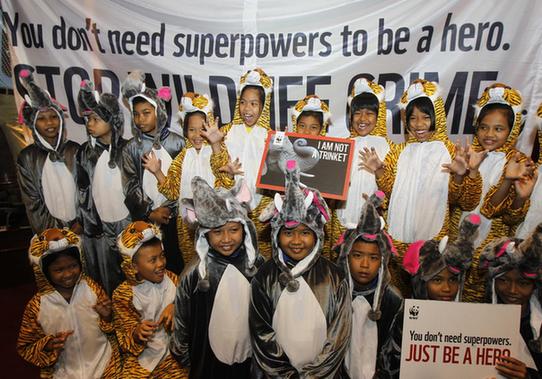 美官員呼吁強(qiáng)化中美合作 打擊野生動(dòng)植物犯罪