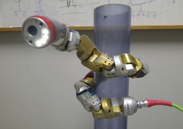 美高校研制新型機器蛇 可潛伏在樹上執行偵察任務