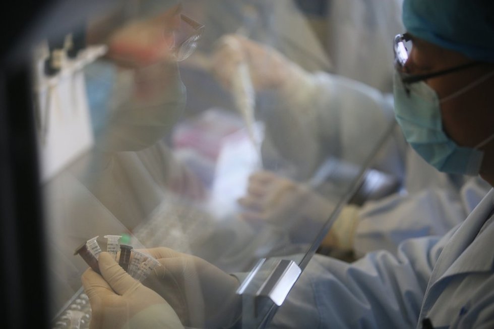 組圖：中國多地備戰H7N9禽流感