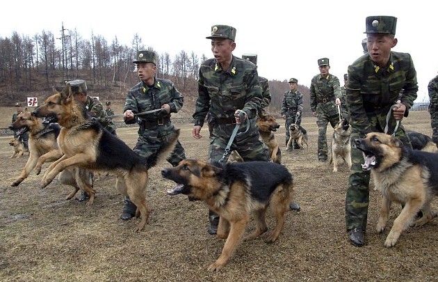 朝鮮宣布暫關(guān)閉開城工業(yè)園區(qū) 或進行第四次核試驗