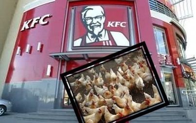 肯德基談“雞”色變 4月銷售業績不容樂觀
