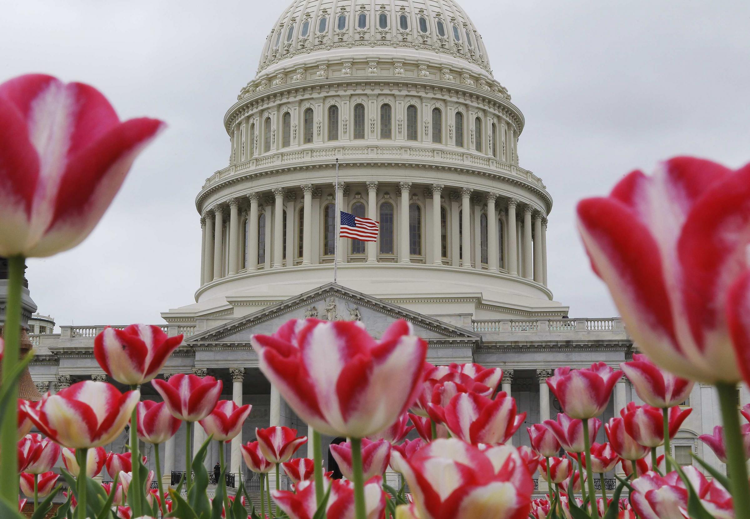 波士頓爆炸裝滿炸藥壓力鍋是“元兇” 現場可疑者照片引熱議