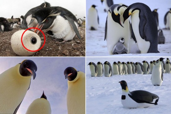 野外攝影師的辛酸血淚史