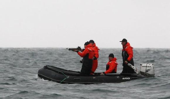 全能普京:上天下海還賣萌 克格勃時代善用“燕子”