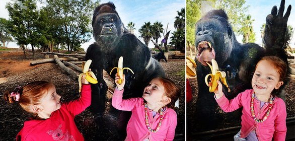 讓人捧腹的動物界吃貨