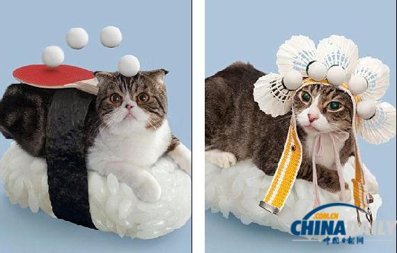 組圖：讓人垂涎欲滴卻不能吃 乖張可愛的貓咪壽司