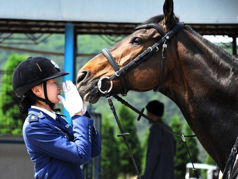 每匹馬養護成本2500元/月?探秘大連女騎警訓練基地