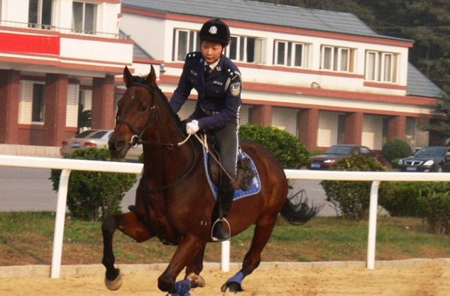 每匹馬養(yǎng)護(hù)成本2500元/月?探秘大連女騎警訓(xùn)練基地