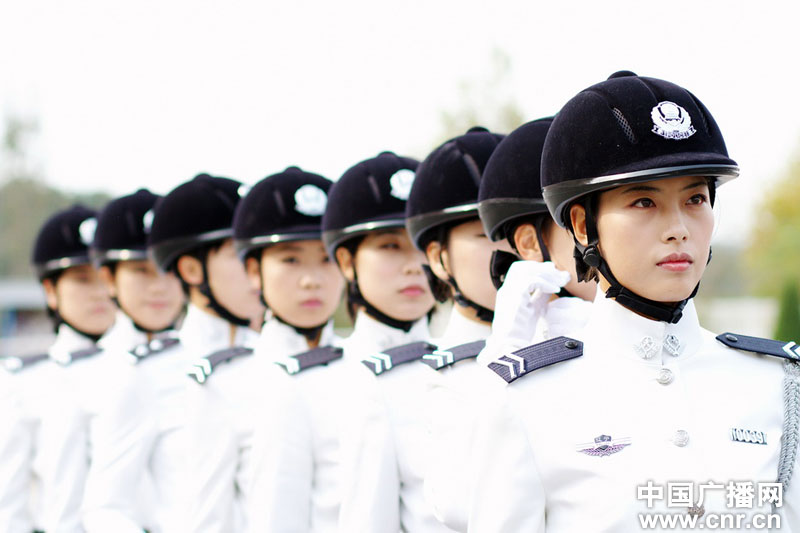 每匹馬養護成本2500元/月?探秘大連女騎警訓練基地