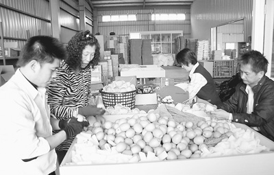 高雄農漁業的“美麗轉身”（行走臺灣）