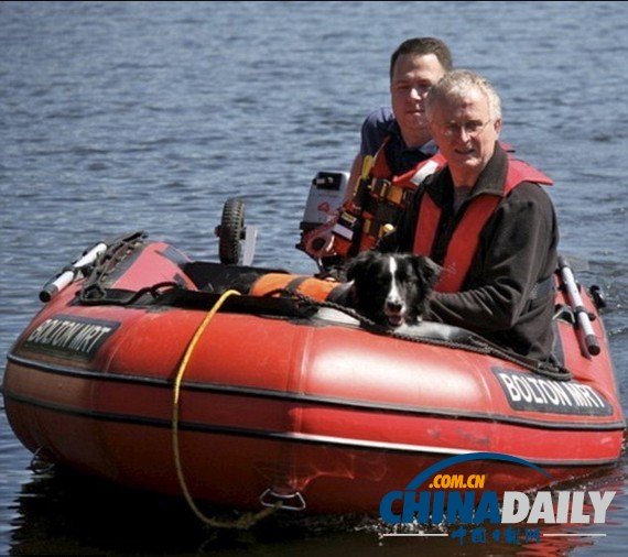 英國水下搜救犬成“天才” 能聞到30米深遇難者尸體