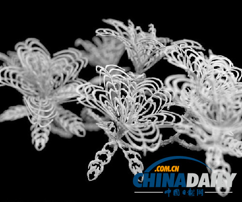 冷艷精美超乎想象 日本藝術家用鼠骨制作骨之花