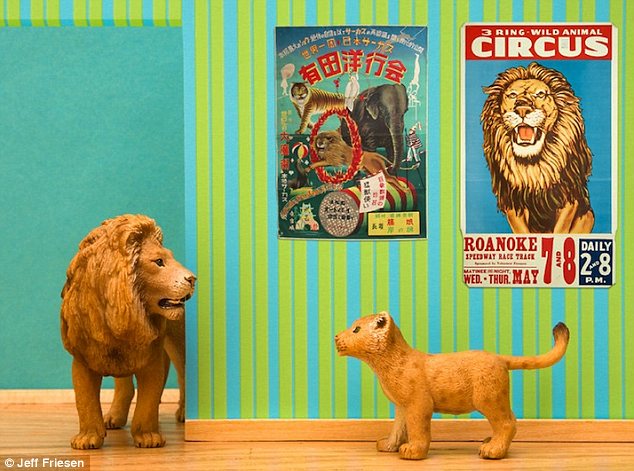 加拿大全職爸爸拍玩具動物生活照 (高清組圖)