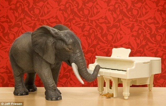 加拿大全職爸爸拍玩具動物生活照 (高清組圖)