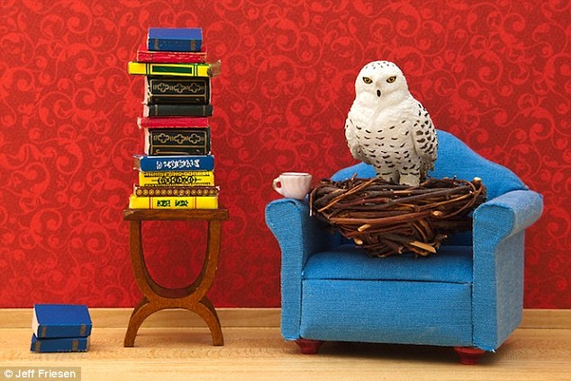 加拿大全職爸爸拍玩具動(dòng)物生活照 (高清組圖)