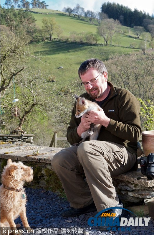 現實版“狐朋狗友”：兩只萌物打鬧嬉戲惹人愛