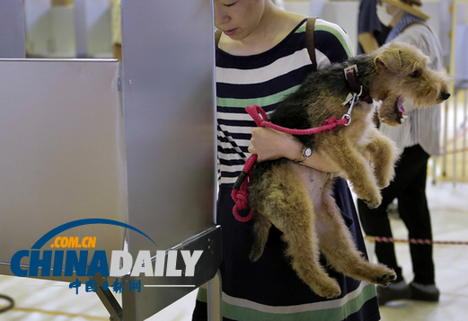 日參議院選舉：上午投票率低于前次 僅13.73%