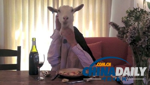 優(yōu)雅山羊女士網(wǎng)絡(luò)躥紅 報紙相伴自斟自飲欲覓佳偶