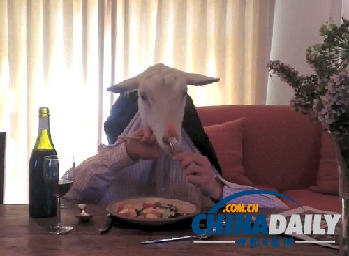 優雅山羊女士網絡躥紅 報紙相伴自斟自飲欲覓佳偶