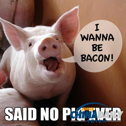 免稅、移民、吃素:解救底特律的六個瘋狂想法