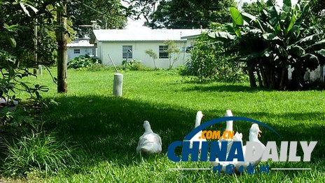 美國“奇跡”村：半數居民有性犯罪史【環球周末】