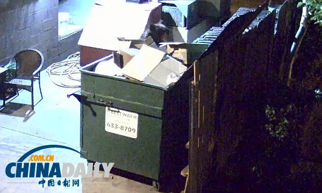 監控實拍美國“熊食客”偷吃餐廳廚余垃圾（組圖）