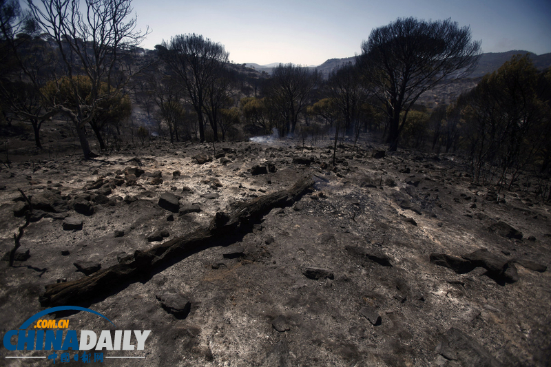 西班牙森林大火蔓延兩天 火勢失控（高清組圖）