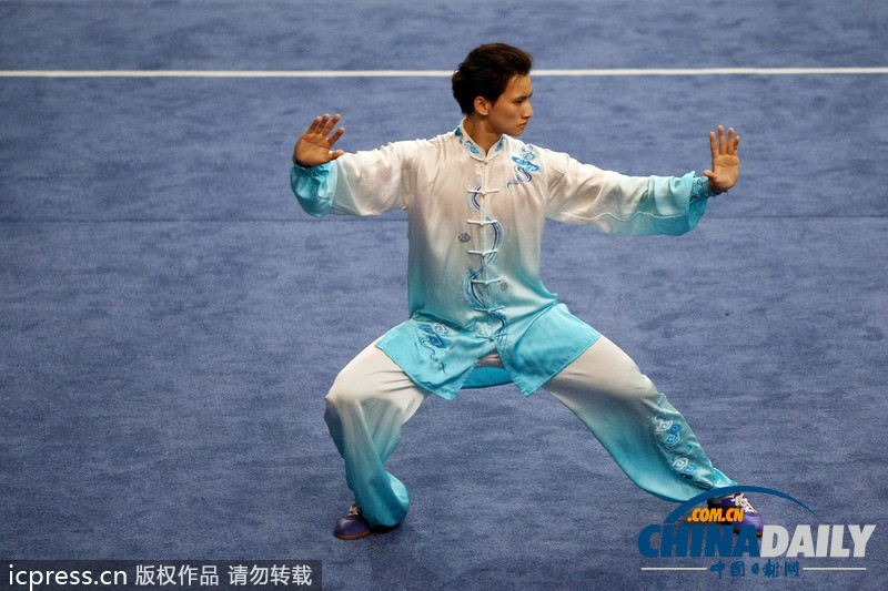 盤點各國神奇功夫 武林爭霸誰與爭鋒(高清組圖)