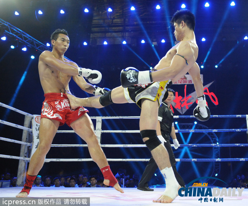 盤點各國神奇功夫 武林爭霸誰與爭鋒(高清組圖)