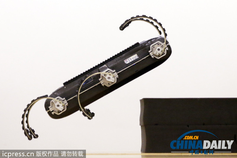 美國研發六足機器人 能跳躍爬墻空翻（圖）