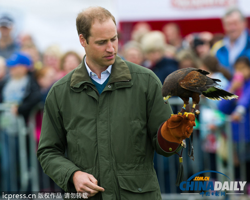 威廉王子農展會上客串訓鷹師 小心翼翼（組圖）