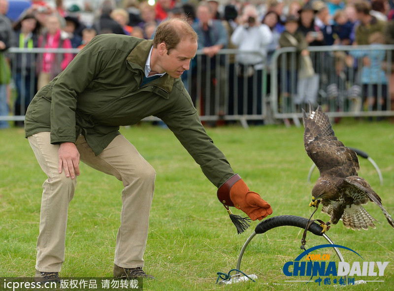 威廉王子農展會上客串訓鷹師 小心翼翼（組圖）