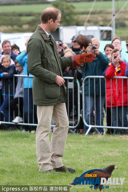 威廉王子農展會上客串訓鷹師 小心翼翼（組圖）