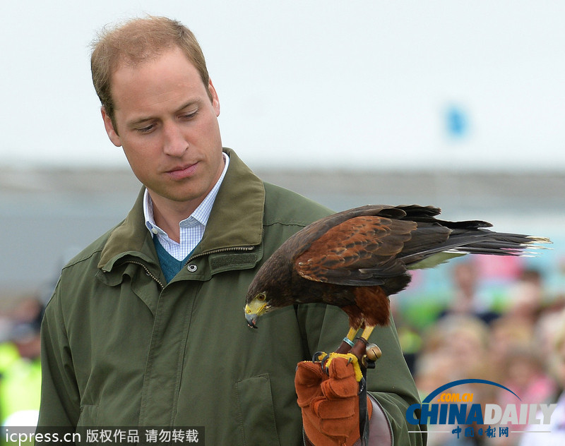 威廉王子農展會上客串訓鷹師 小心翼翼（組圖）