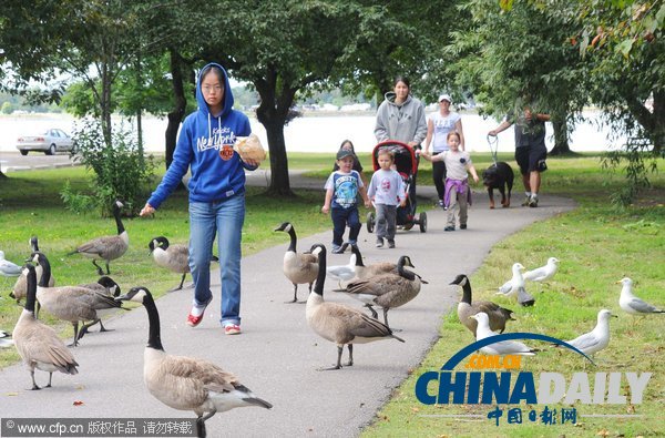 華人出境游文明意識(shí)增強(qiáng) 展現(xiàn)中國(guó)“軟實(shí)力”（圖）