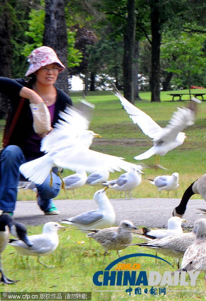 華人出境游文明意識增強 展現中國“軟實力”（圖）