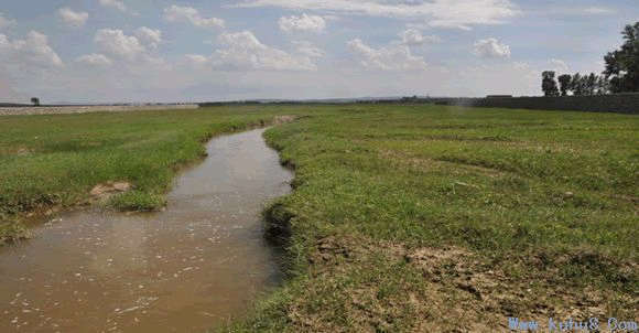 山西陽(yáng)高山納合成橡膠有限公司肆意排污見(jiàn)聞