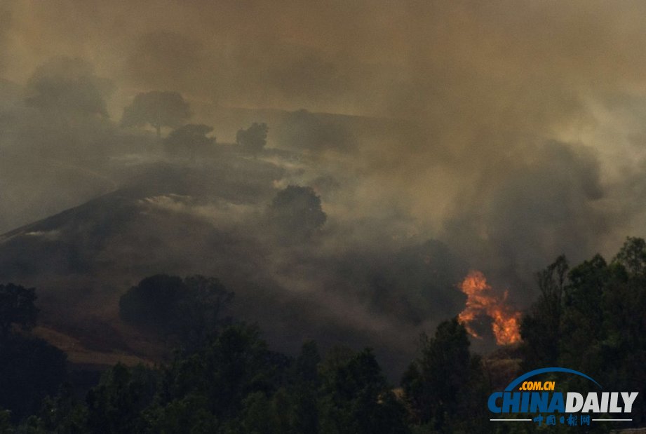 美國洛杉磯一汽車起火引發森林火災 濃煙滾滾（圖）