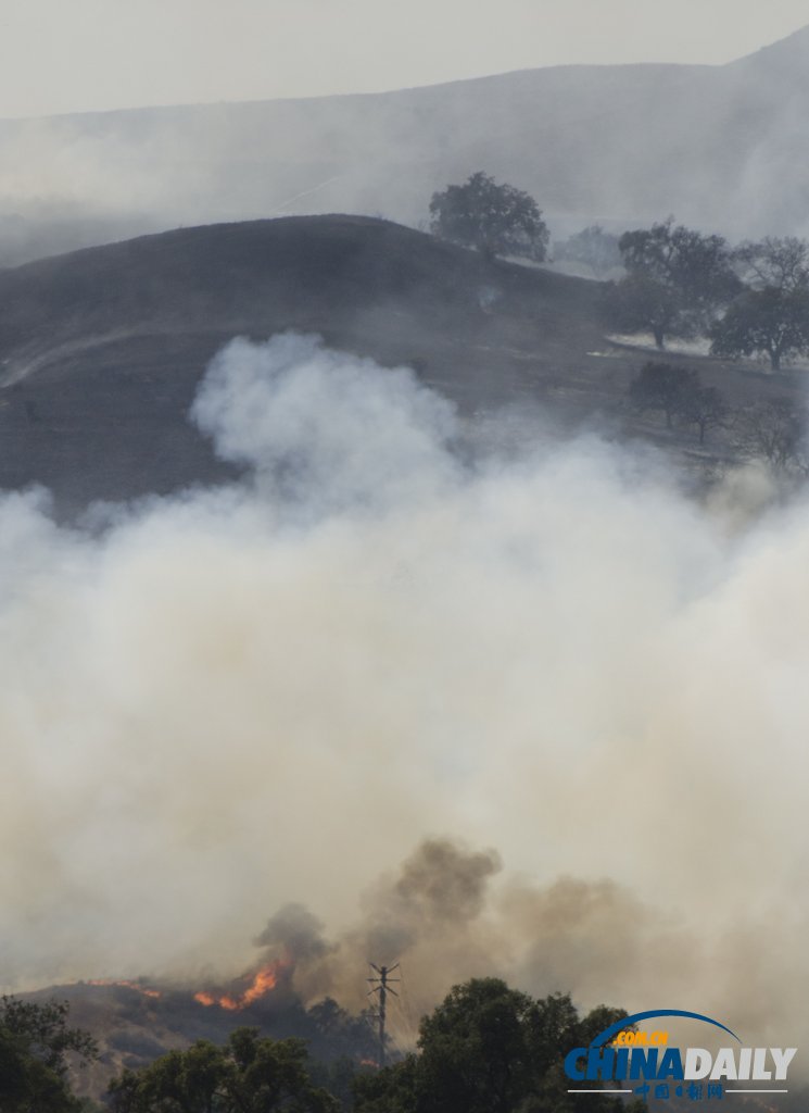美國洛杉磯一汽車起火引發(fā)森林火災(zāi) 濃煙滾滾（圖）